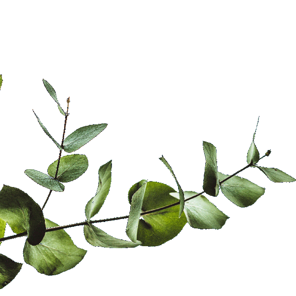EventsPage_lgLeaf_v_3