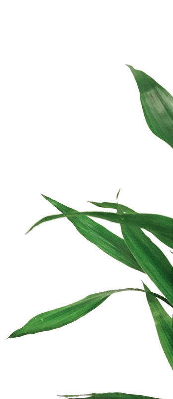 bg-section_3_4b