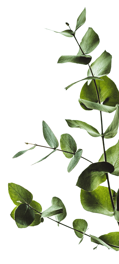 get-involved_flower_1_v_1-min