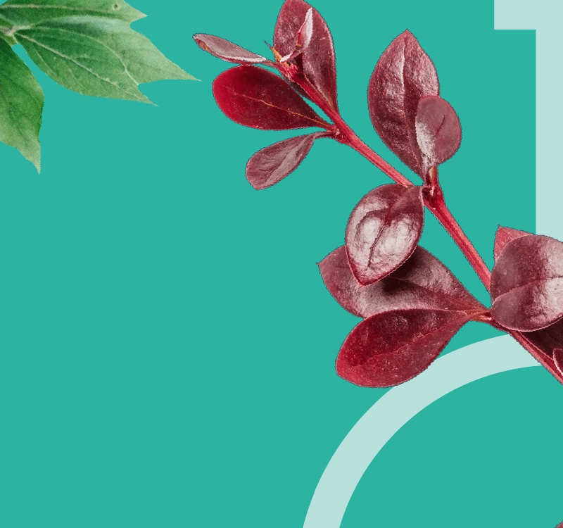 header-bar_green_mobile_1_v_3_10